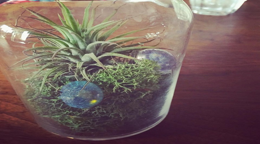 写真：井戸のポンプ