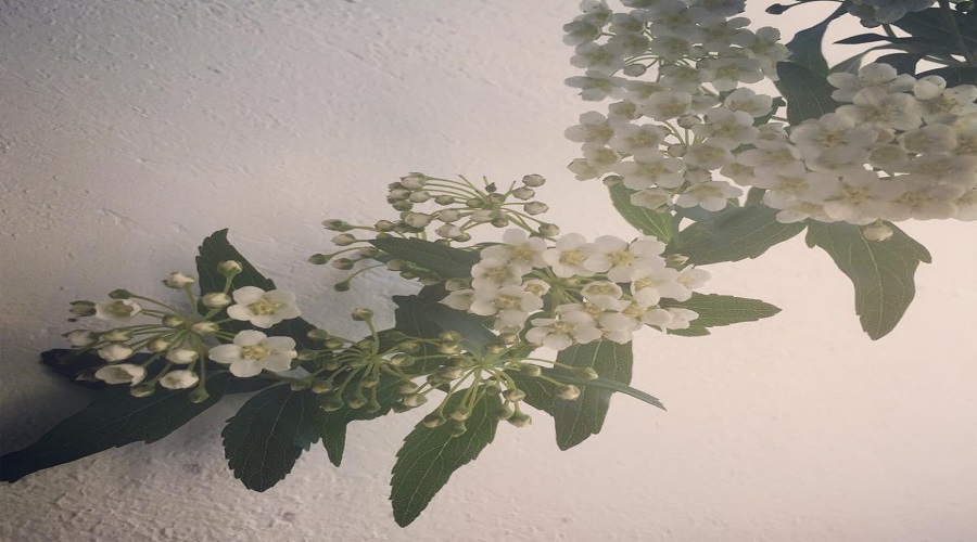 写真：井戸のポンプ